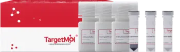 Flag Tag Immunoprecipitation Kit