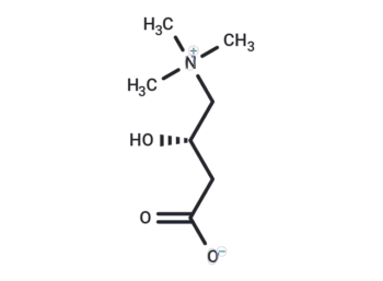 L-Carnitine