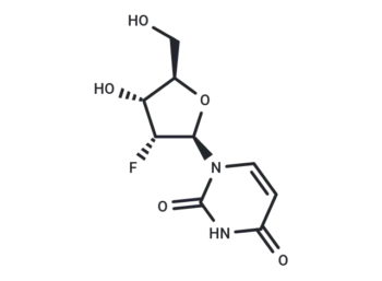 2'-Deoxy-2'-fluorouridine