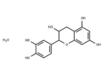 (+)-Catechin Hydrate