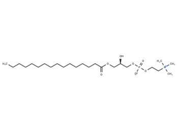 1-Palmitoyl-sn-glycero-3-phosphocholine