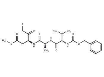 Z-VAD(OMe)-FMK