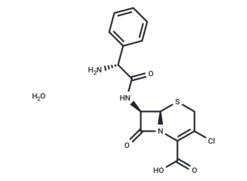 Cefaclor monohydrate