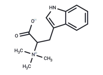 Hypaphorine