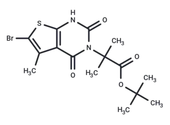 CS-B1628