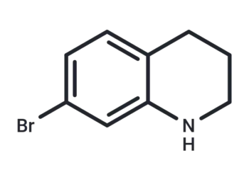 WEHL-04