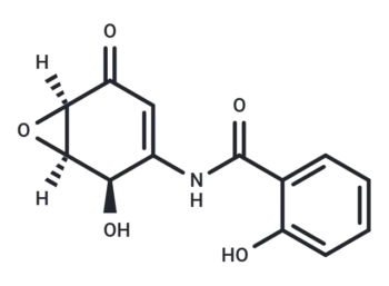 (+)-DHMEQ