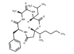 Beauveriolide I
