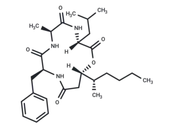 Beauveriolide I