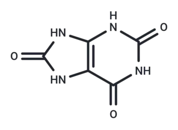 Uric Acid