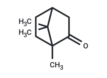 Camphor