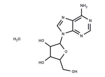 Vidarabine monohydrate