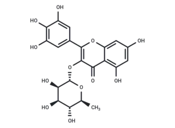 Myricitrin