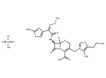 CS 461