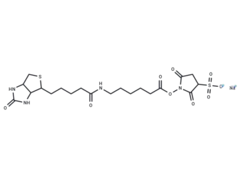 Sulfo-NHS-LC-Biotin Na