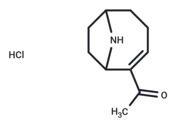 (±)-Anatoxin A hydrochloride