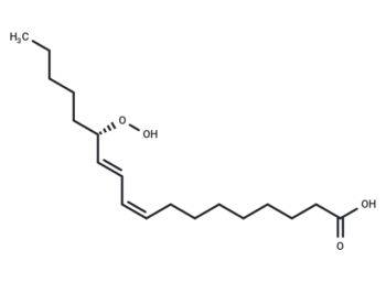 13(S)-HpODE
