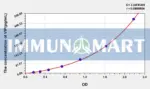 Rat VIP(Vasoactive Intestinal Peptide) ELISA Kit