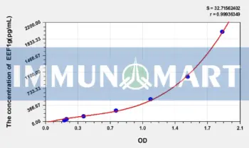 Human EEF1g(Eukaryotic Translation Elongation Factor 1 Gamma) ELISA Kit