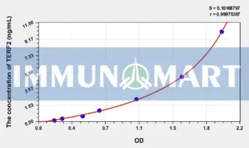 Human TERF2(Telomeric Repeat Binding Factor 2) ELISA Kit