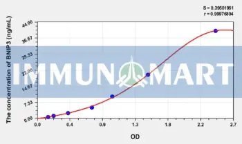 Rat BNIP3(Bcl2/Adenovirus E1B 19kDa Interacting Protein 3) ELISA Kit