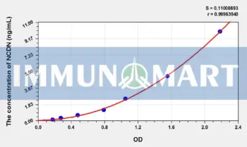 Rat NCDN(Neurochondrin) ELISA Kit
