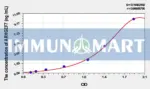 Rat ARHGEF7(Rho Guanine Nucleotide Exchange Factor 7) ELISA Kit