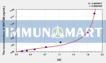 Human WNT2B(Wingless Type MMTV Integration Site Family, Member 2B) ELISA Kit