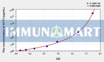 Human SYT1(Synaptotagmin 1) ELISA Kit