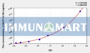Rat MAP1LC3B(Microtubule-associated proteins 1A/1B light chain 3B) ELISA Kit