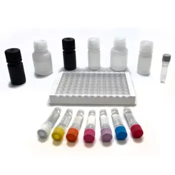 Ampicillin ELISA Test Kit - Immunomart