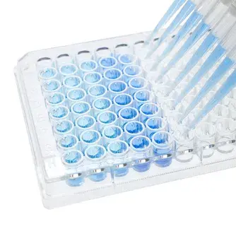 Aflatoxins B1 ELISA test kit - Immunomart