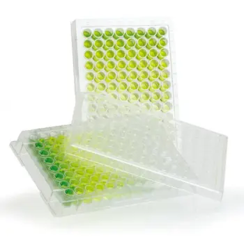 PLRV PathoScreen® Kit for Potato leafroll virus - Plant ELISA Kit - Immunomart
