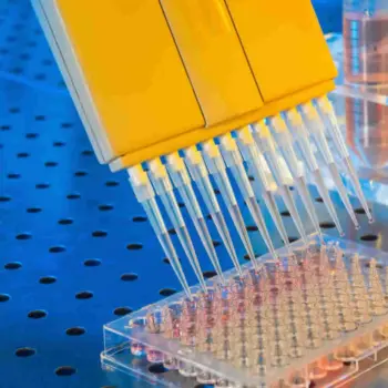 PVX PathoScreen® Kit for Potato virus X - Plant ELISA Kit - Immunomart