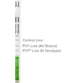 PVY and PVY-n Dual ImmunoStrip® for Potato virus Y and Potato virus Y – necrotic strain, with sample buffer bags