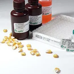 PVY PathoScreen® Kit for Potato virus Y - Plant ELISA Kit - Immunomart