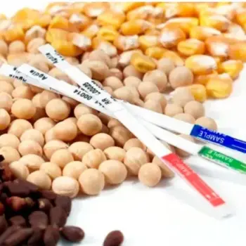ImmunoStrip® for eCry3.1Ab - Plant Rapid Test Strips - Immunomart