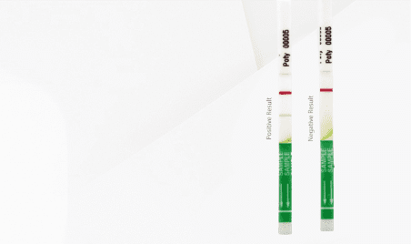 Immunomart Homepage Banner - Canadian Research Reagent Supplier