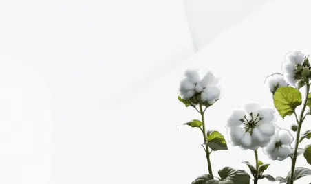 Immunomart Research Products - Reliable Shipping