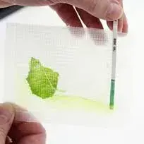 ToBRFV ImmunoStrip® Tomato brown rugose fruit virus- with sample buffer bags - Plant Rapid Test Kit - Immunomart