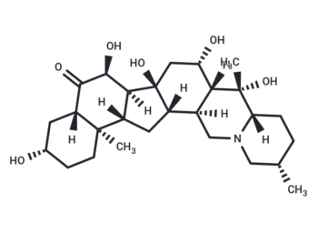Pingpeimine C