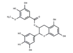 (-)-Epigallocatechin-3-(3''-O-methyl) gallate