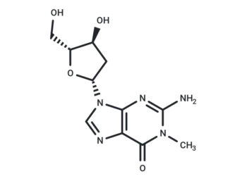 2'-Deoxy-N1-methylguanosine