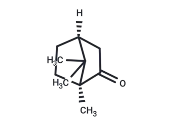 (-)-CAMPHOR