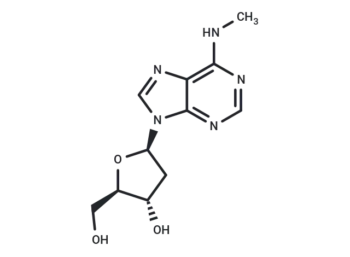 2'-Deoxy-N6-methyl adenosine