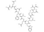 Glucagon (19-29), human