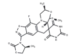 Zoliflodacin