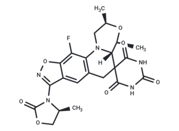 Zoliflodacin
