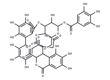 Neochebulagic acid
