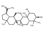 Glochidiol